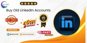 Buy Old LinkedIn Accounts
