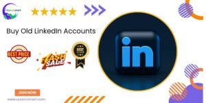 Buy Old LinkedIn Accounts
